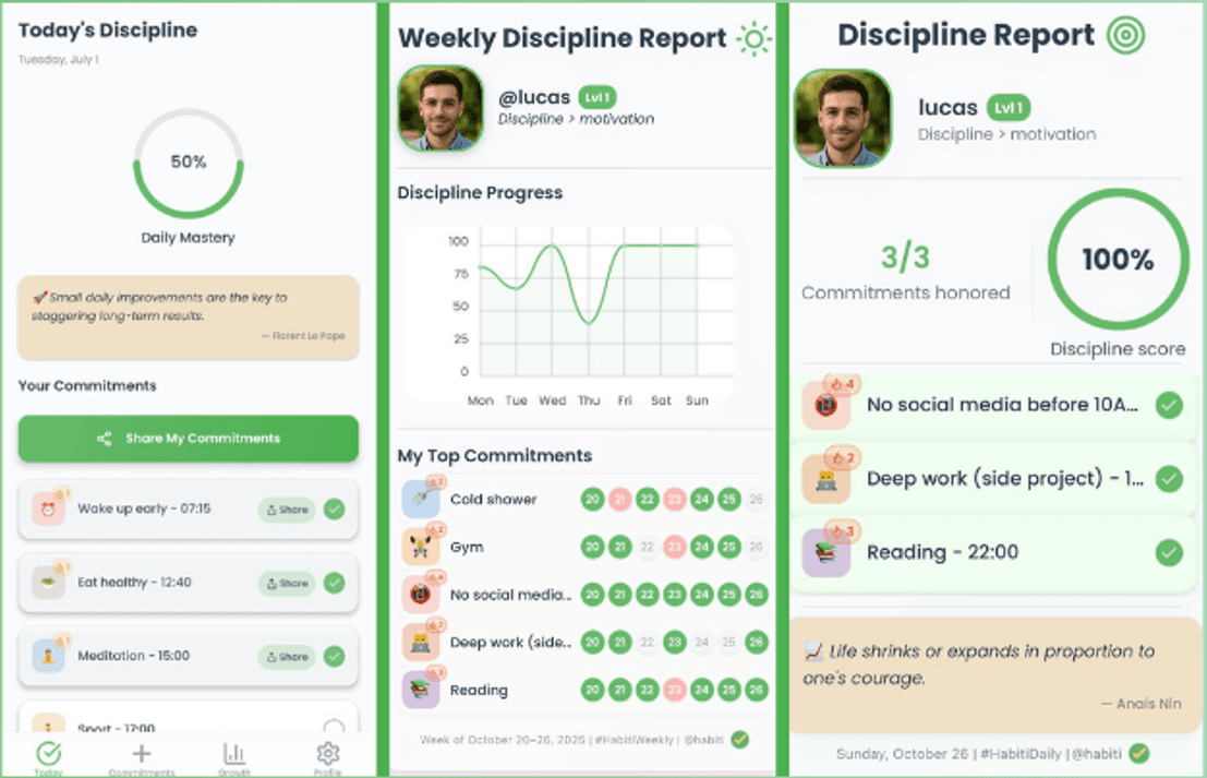 DailyProof – Discipline You Can See – visualisation